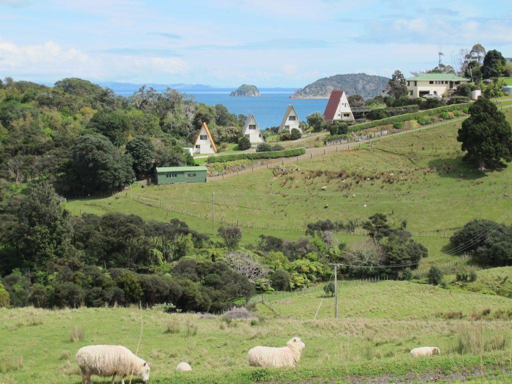 Pohutukawa Coastal Chalets Coromandel Екстериор снимка
